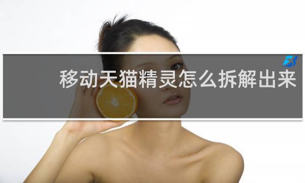 移动天猫精灵怎么拆解出来