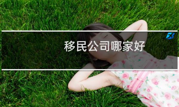 移民公司哪家好