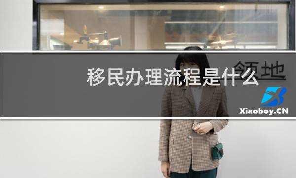移民办理流程是什么