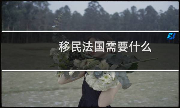移民法国需要什么