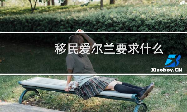 移民爱尔兰要求什么