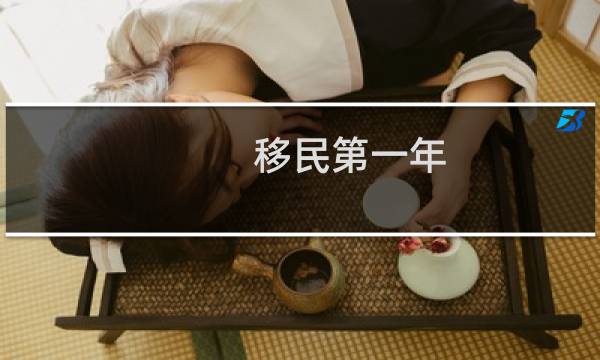 移民第一年