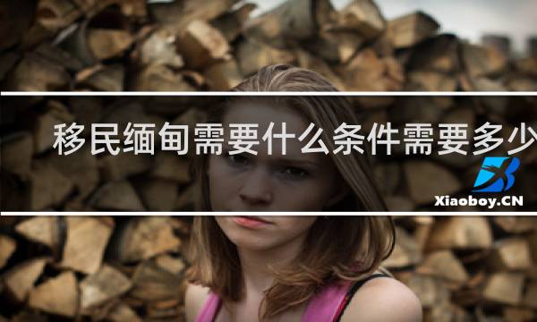 移民缅甸需要什么条件需要多少钱