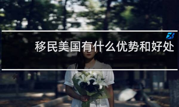 移民美国有什么优势和好处