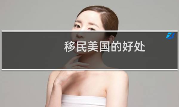 移民美国的好处