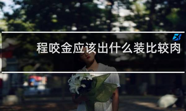程咬金应该出什么装比较肉