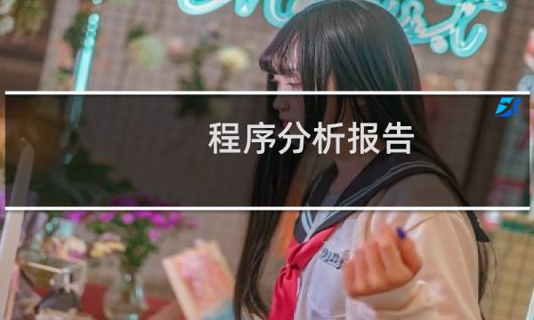 程序分析报告