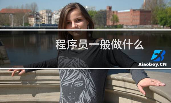程序员一般做什么
