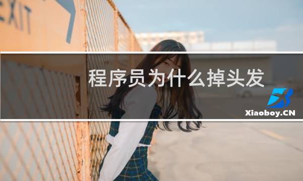 程序员为什么掉头发