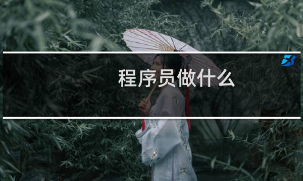 程序员做什么