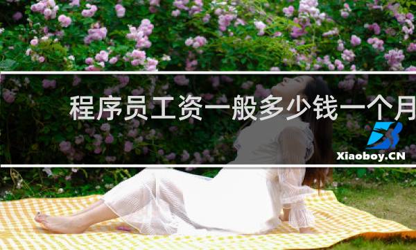 程序员工资一般多少钱一个月