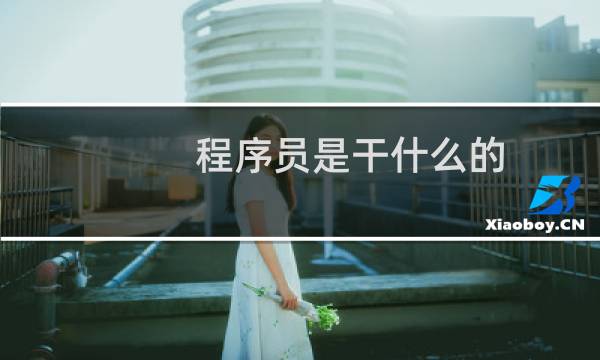 程序员是干什么的