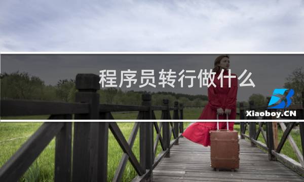 程序员转行做什么