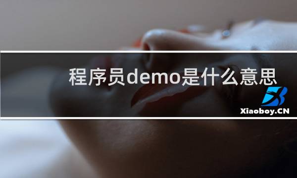 程序员demo是什么意思