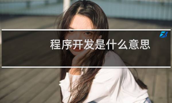 程序开发是什么意思