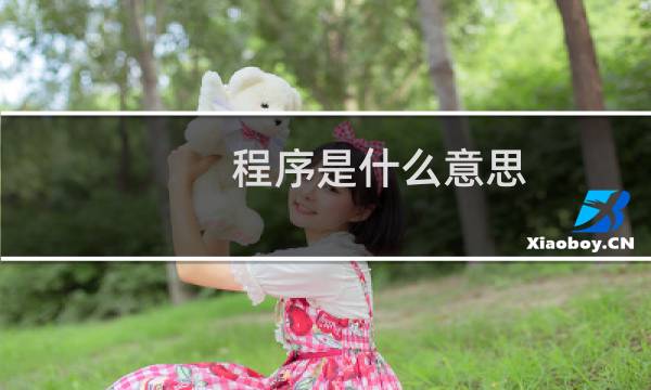 程序是什么意思