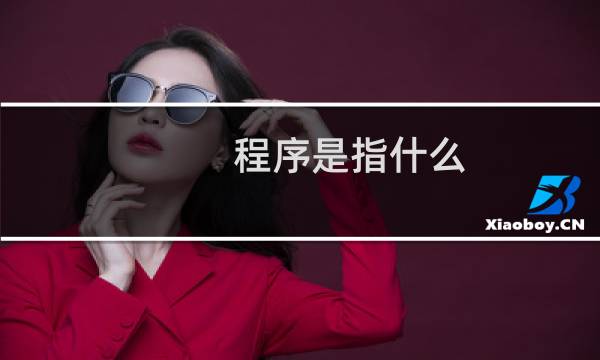 程序是指什么