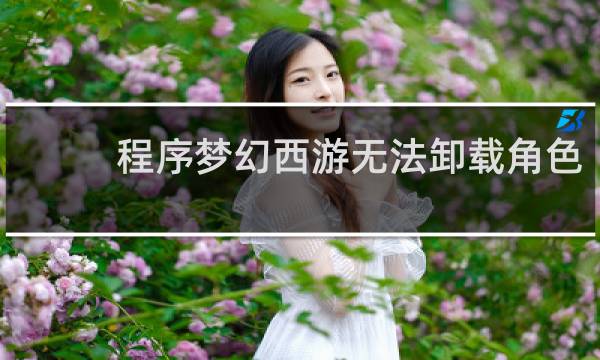 程序梦幻西游无法卸载角色