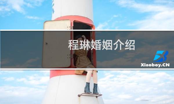程琳婚姻介绍