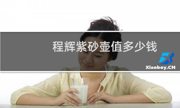 程辉紫砂壶值多少钱