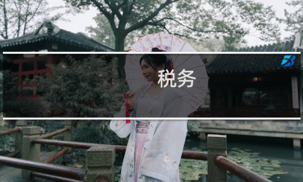 税务 展示