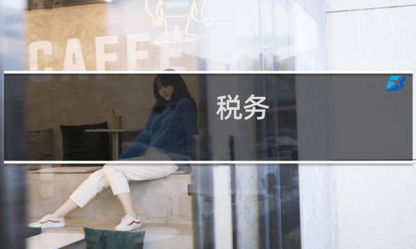 税务 电脑