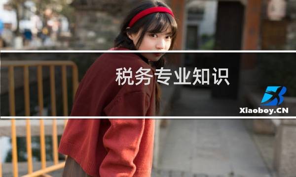 税务专业知识