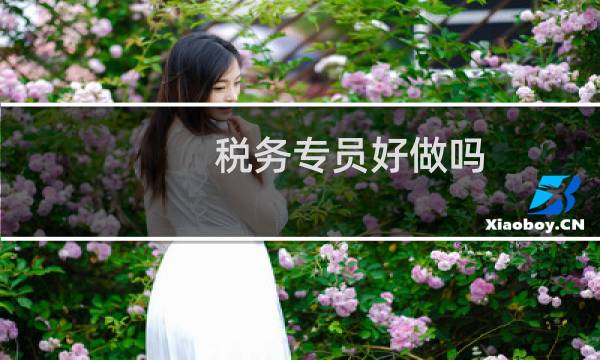 税务专员好做吗