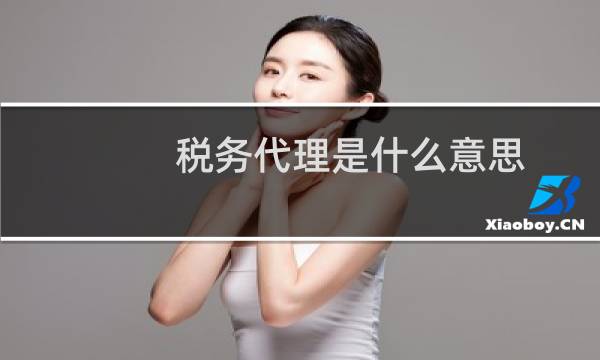税务代理是什么意思