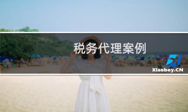 税务代理案例