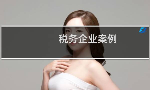 税务企业案例