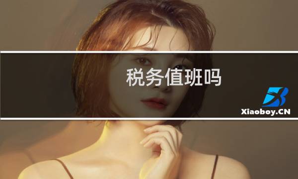 税务值班吗