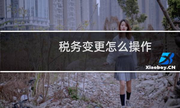 税务变更怎么操作