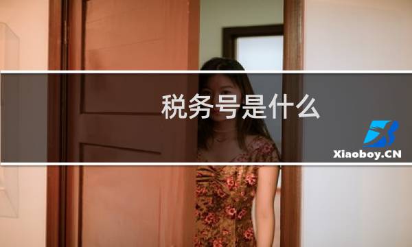 税务号是什么