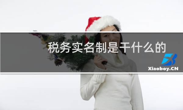 税务实名制是干什么的