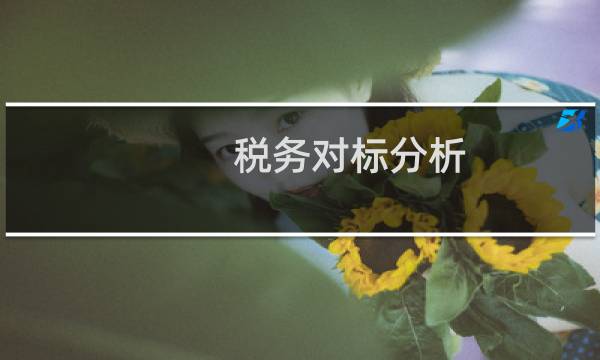 税务对标分析