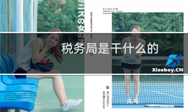 税务局是干什么的