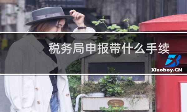 税务局申报带什么手续