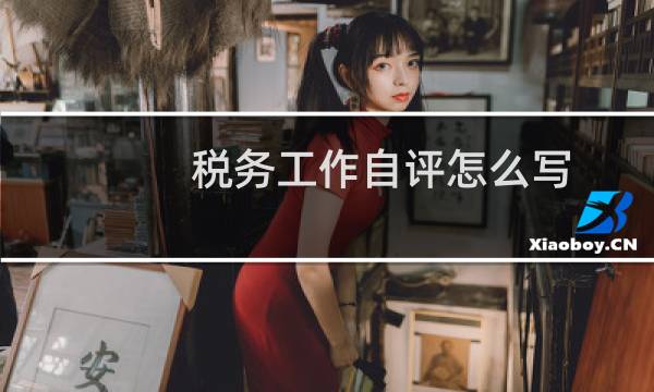 税务工作自评怎么写