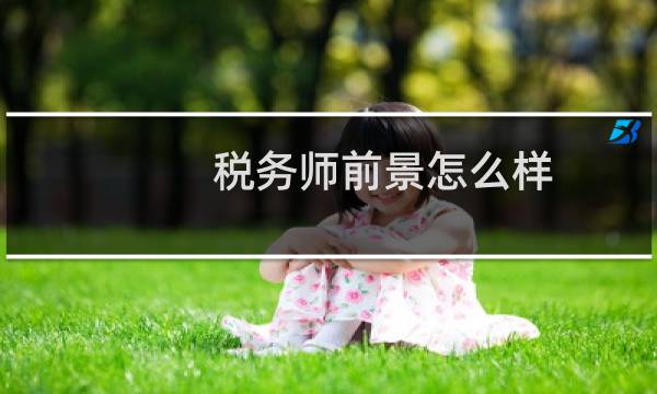 税务师前景怎么样