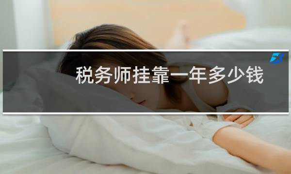 税务师挂靠一年多少钱