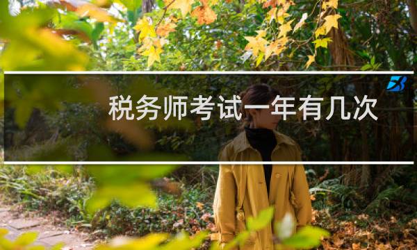 税务师考试一年有几次