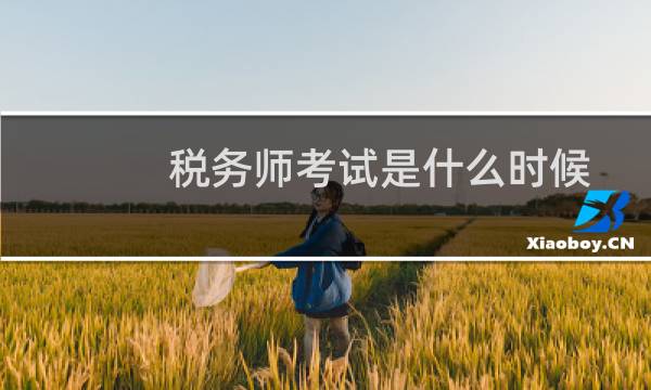 税务师考试是什么时候