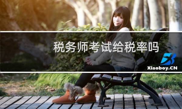 税务师考试给税率吗