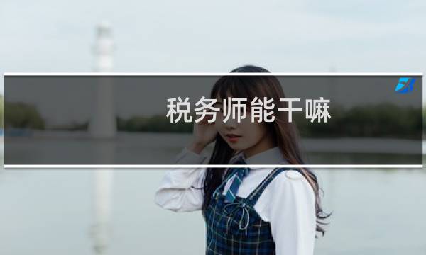 税务师能干嘛
