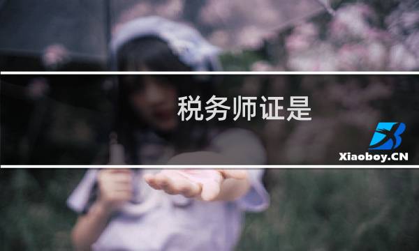 税务师证是