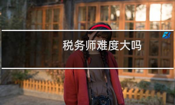 税务师难度大吗