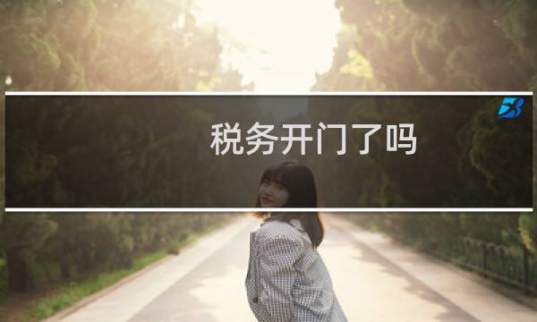 税务开门了吗