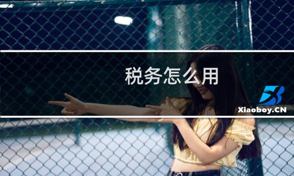 税务怎么用