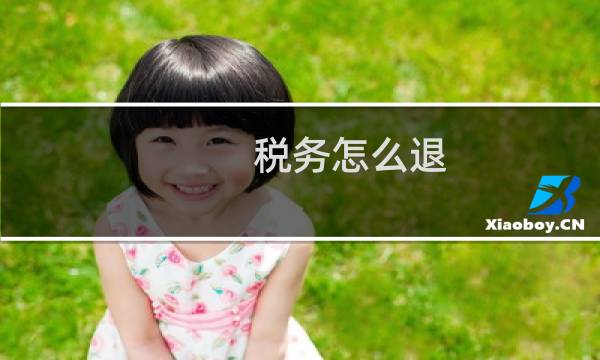 税务怎么退
